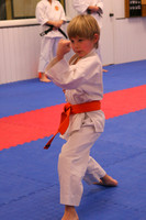 January 2008 Kyu Tests