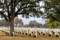 2512_Wreaths - Low Res