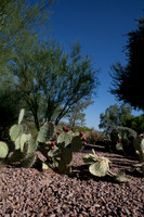 090819_Tucson_0065.jpg