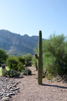 090819_Tucson_0074.jpg