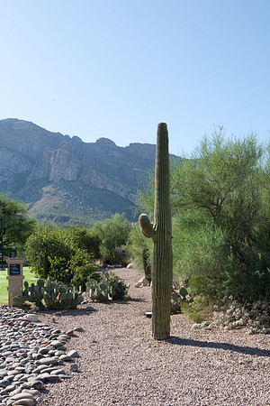 090819_Tucson_0074.jpg