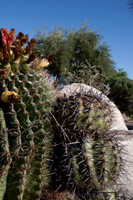 090819_Tucson_0060.jpg