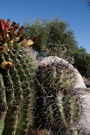 090819_Tucson_0060.jpg