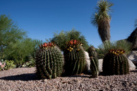 090819_Tucson_0047.jpg