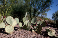 090819_Tucson_0062.jpg