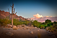 090818_Tucson_0002_3.jpg