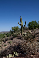 090819_Tucson_0070.jpg