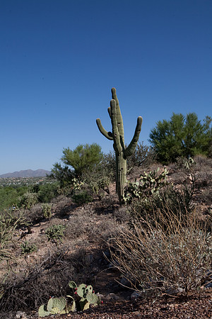090819_Tucson_0070.jpg