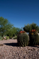 090819_Tucson_0049.jpg