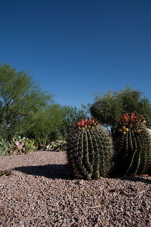 090819_Tucson_0049.jpg