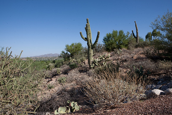 090819_Tucson_0073.jpg
