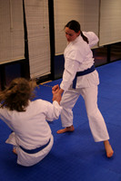 Karate - Adult Training