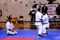 Various Karate Demos & Clinics