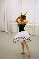 SRDA Green - 12-7-07
