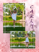 0907_Carly Swan Collage.jpg