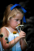 Individual Portraiture