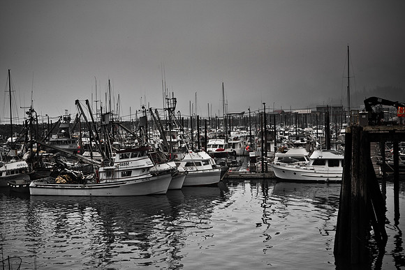 Boats in harbor